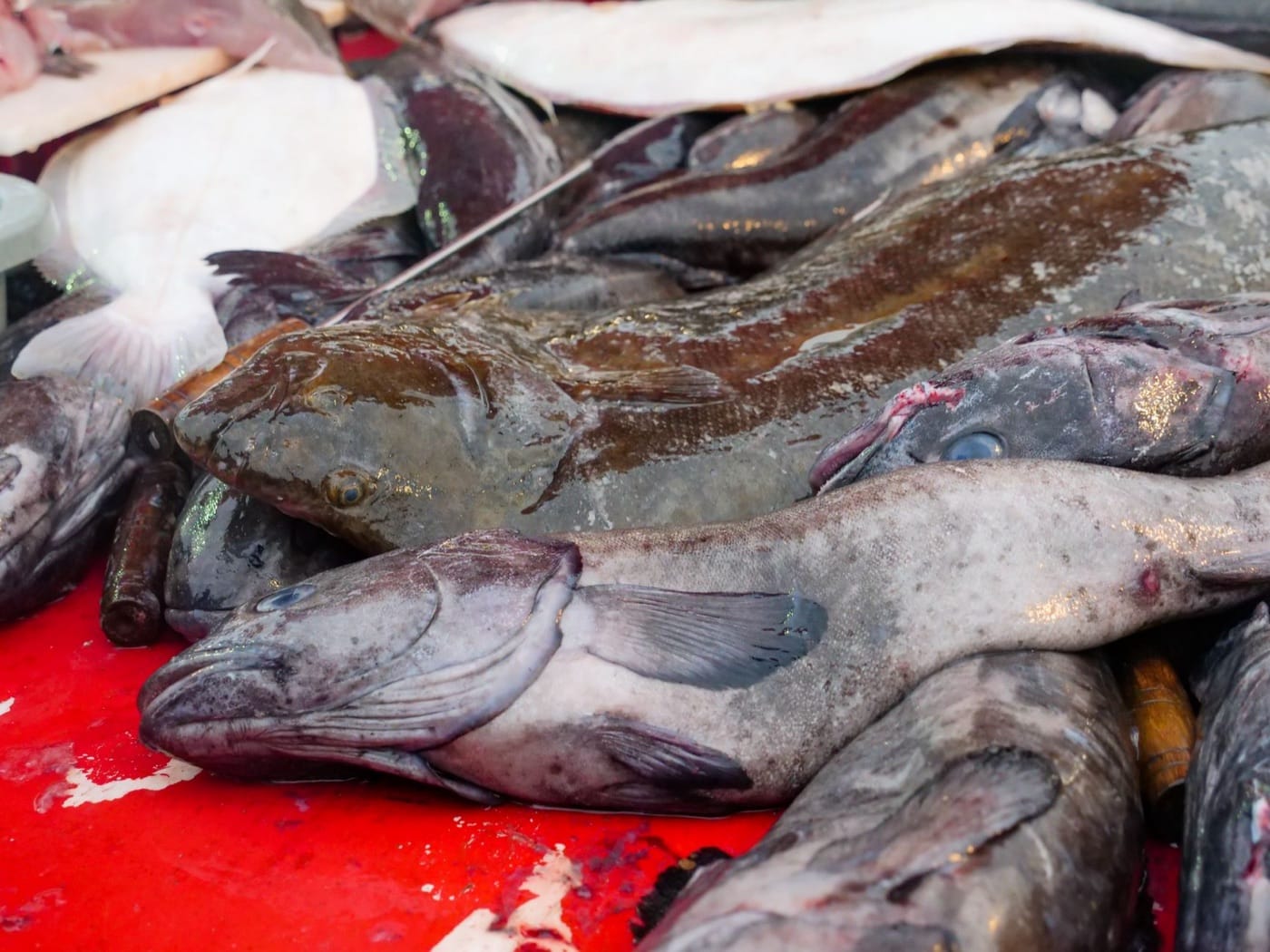 Färsk Fisk och Filéer